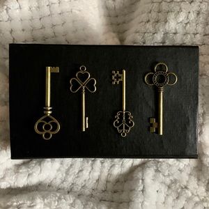 32 Brass Skeleton Keys